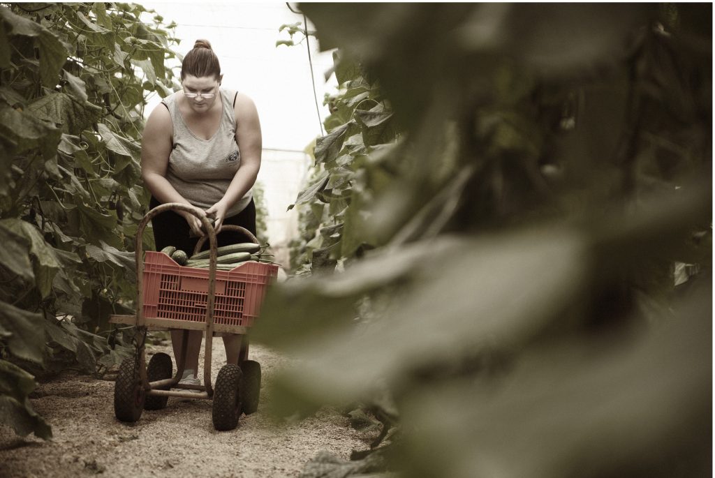 mujer de COAG Almería recolectando su plantación agraria