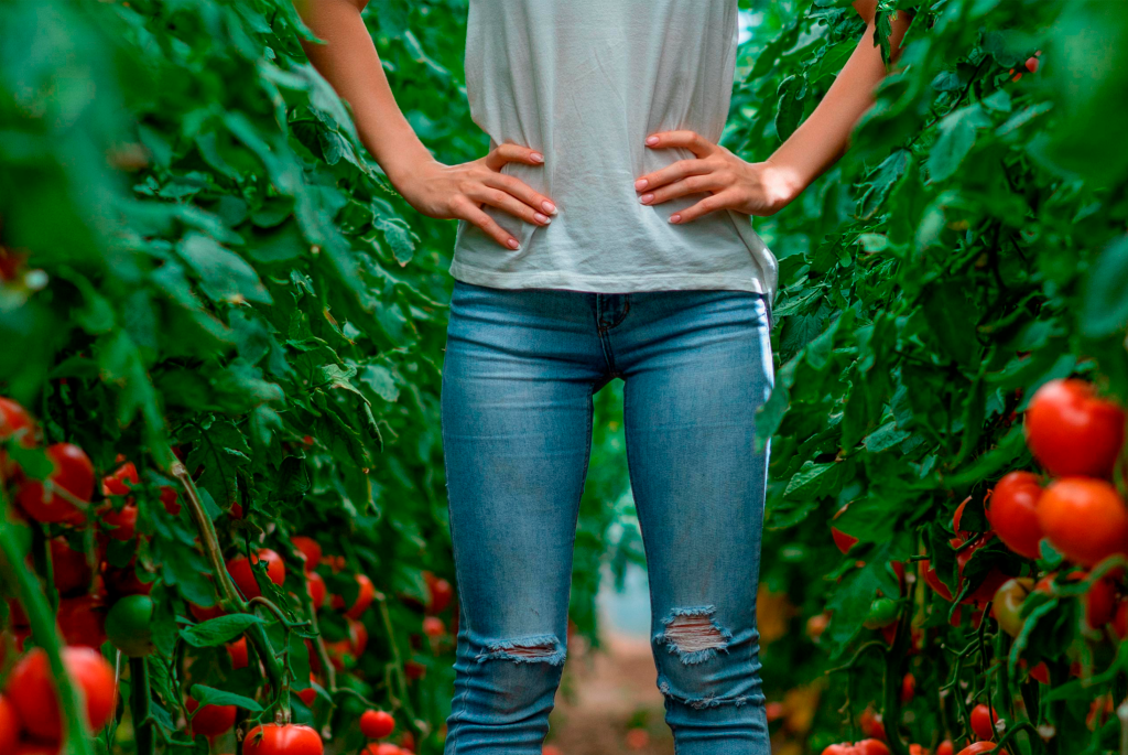 mujer agricultora en su plantación de tomates en Almería