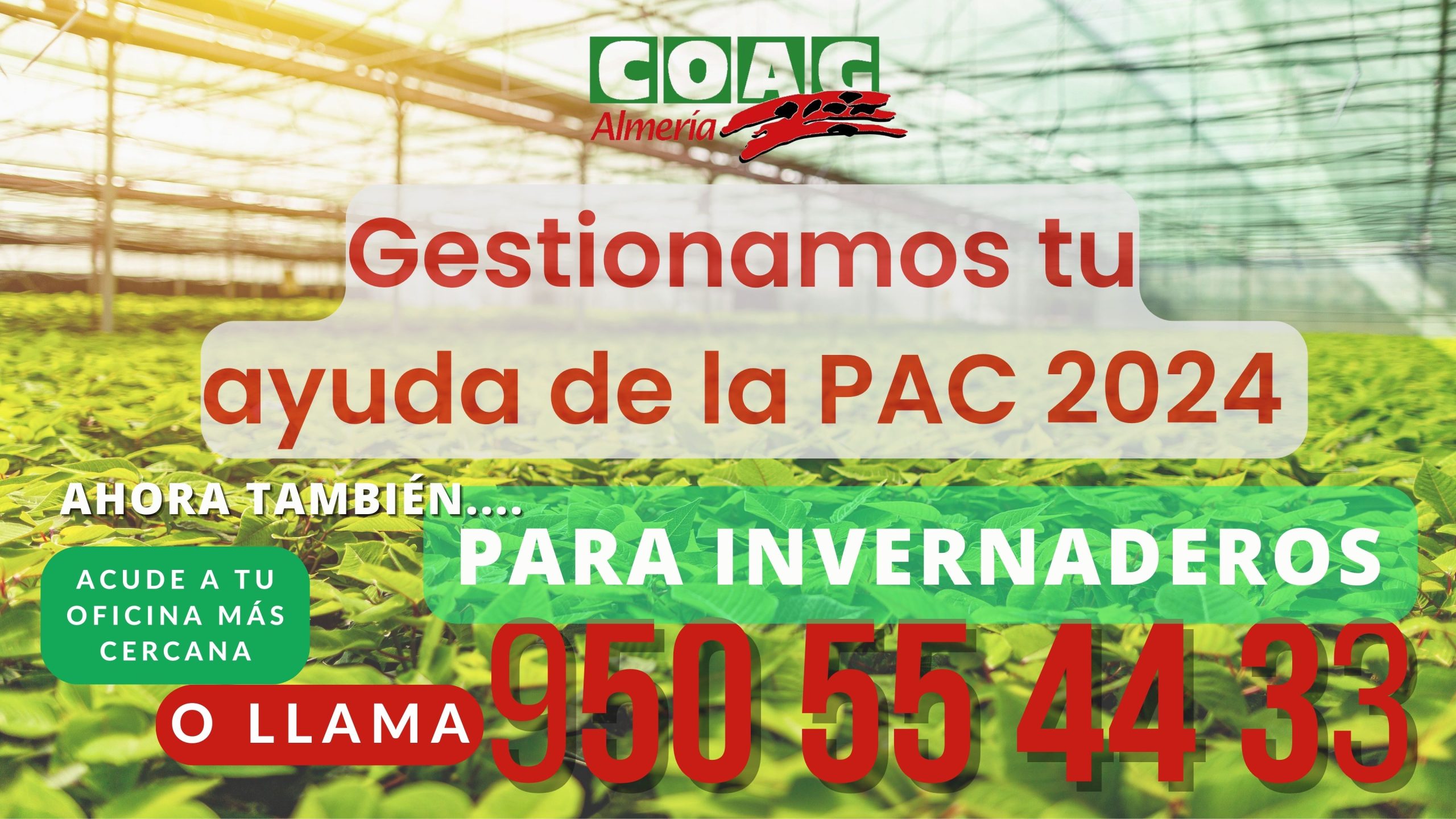 Lee más sobre el artículo AYUDAS de la PAC 2024 en COAG Almería